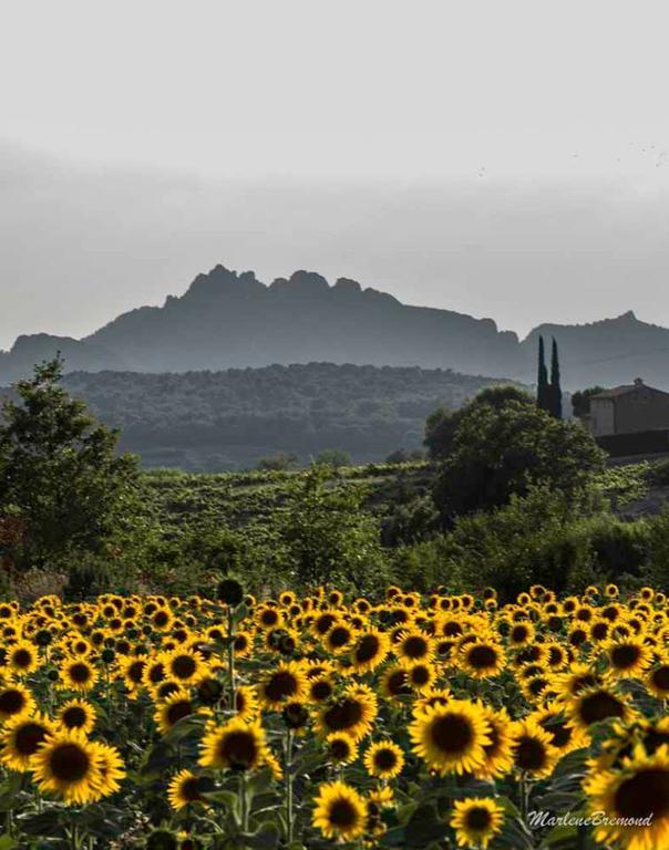 Chambres D'Hotes Aux Tournesols Малокен Экстерьер фото